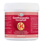 Quiko  - Canthaxantine  - 100gr