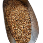 Pluma - Esotico allevamento - 4kg