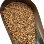 Pluma - Cocorite allegro (con estruso colorato) - 20kg