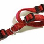 CAMON COLLARE A SGANCIO REGOLABILE 35-50 CM. / 18 MM. ROSSO