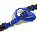 CAMON COLLARE A SGANCIO REGOLABILE 35-50 CM. / 18 MM. BLU