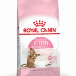 ROYAL CANIN GATTO KITTEN STERILISED DA 2 KG