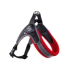LEOPET PETTORINA VICTORY IN AIRMESH ARANCIO FLUO TG1 20-30CM