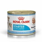 ROYAL CANIN - CANE - STARTER MOUSSE - 195g