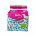 INODORINA FASCE ASSORBENTI M 12PZ