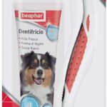 Beaphar Dental Care Kit per Cane, 1 Spazzolino + 1 Dentifricio, Kit Completo per la Cura dei Denti