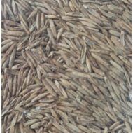 PLUMA - Seme di erba mazzolina 500g - immagine 2