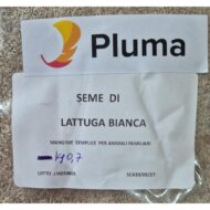 PLUMA - Seme di lattuga bianca 700g