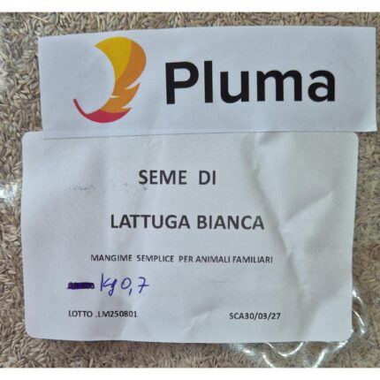 PLUMA - Seme di lattuga bianca 700g