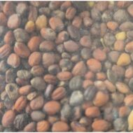 PLUMA - Semi di ravanello 800g - immagine 2