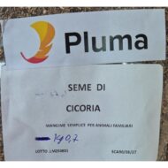 PLUMA - Semi di cicoria 700g