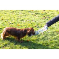 Beeztes Silicone Drinking Bottle 600ml COLORI ASSORTITI - immagine 3