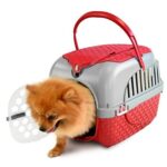 Tour Trasportino Bordeaux Bama