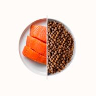 Top Salmon - Gusto Salmone, cibo secco per il mantenimento di cani adulti di tutte le taglie - 10 kg - immagine 2