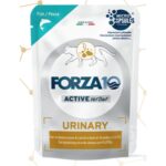 Forza10 - CAT - URINARY pesce 80g - ALIMENTO DIETETICO COMPLETO PER GATTI