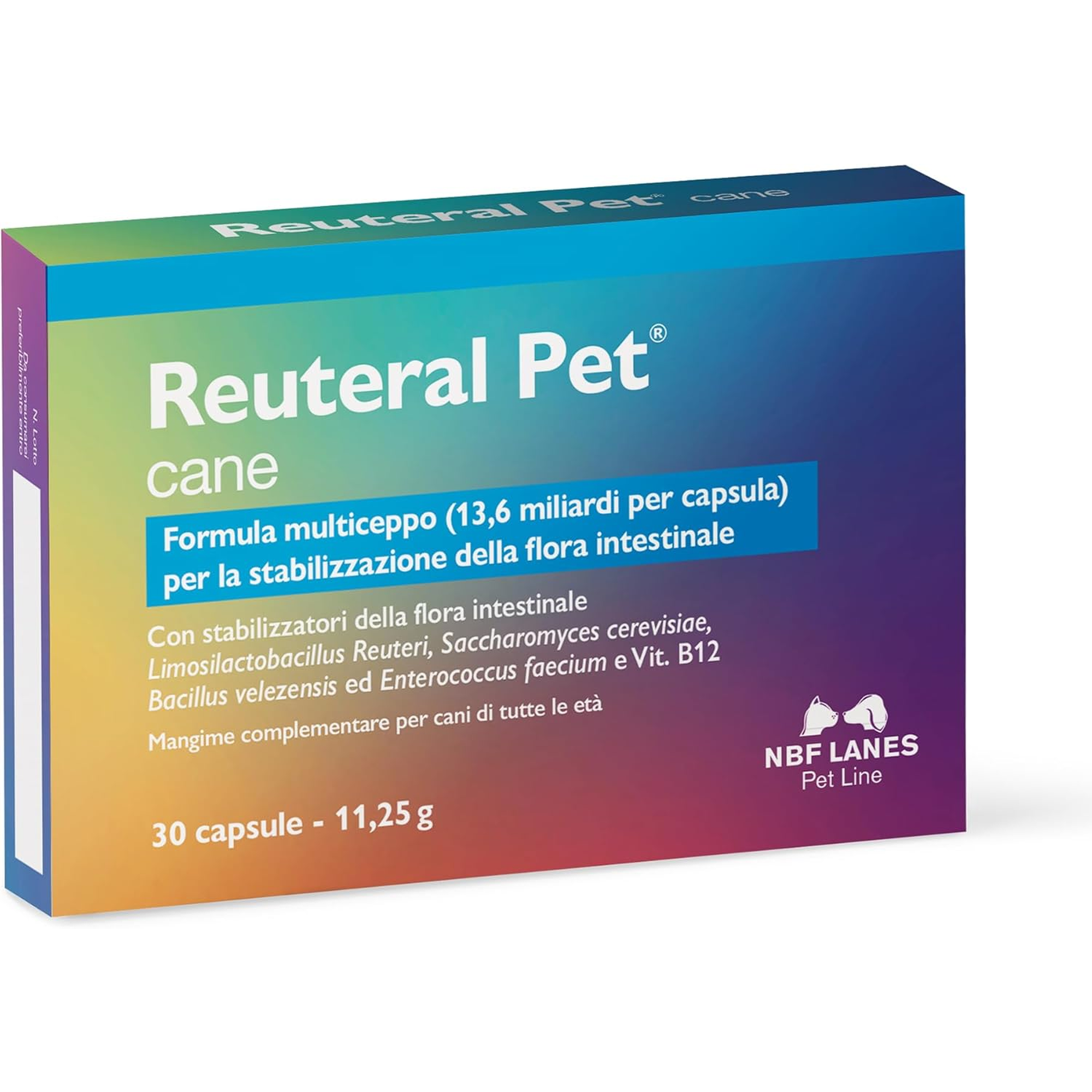 71IijvbDk0L._AC_SL1500_ NBF Lanes | Reuteral Pet Cane, 30 Capsule - immagine 1