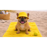 Cappello per cani (Arancione/Giallo/Mimetico) - immagine 2